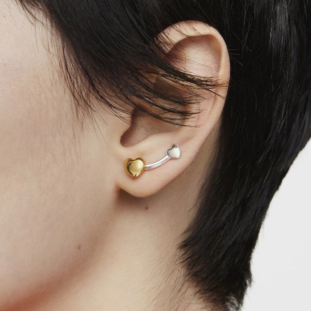 Stainless steel two-color heart-shaped earrings