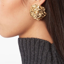 Load image into Gallery viewer, One pair of stainless steel flower earrings