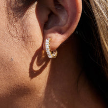 Load image into Gallery viewer, Golden stainless steel and white zircon earrings