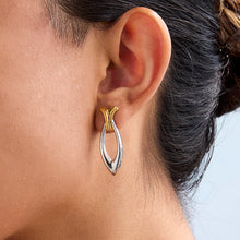 Load image into Gallery viewer, Stainless steel gold and silver color-matched fish-shaped earrings
