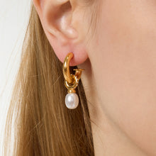 Load image into Gallery viewer, Stainless steel pearl pendant earrings