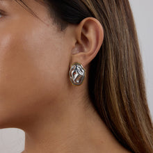 Load image into Gallery viewer, Stainless steel gold and silver color-matched earrings