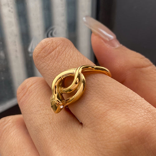 Stainless steel serpentine ring