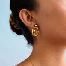 Load image into Gallery viewer, Stainless steel red cat&#39;s eye shell earrings