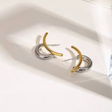 Load image into Gallery viewer, Stainless steel gold and silver color-matched earrings