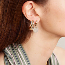 Load image into Gallery viewer, Golden stainless steel white diamond round pendant earrings