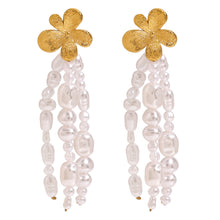 Load image into Gallery viewer, Stainless steel imitation pearl beaded tassel earrings