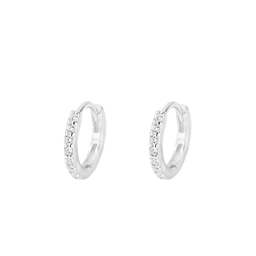 1 pair of S925 sterling silver zircon earrings and ear rings