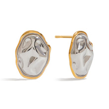 Load image into Gallery viewer, Stainless steel gold and silver color-matched earrings