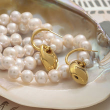 Load image into Gallery viewer, Stainless steel golden glossy pendant earrings