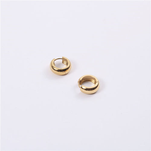 Golden stainless steel earring earrings