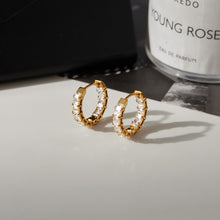 Load image into Gallery viewer, Golden stainless steel and white zircon earrings