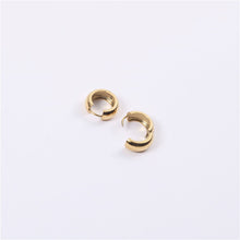 Load image into Gallery viewer, Golden stainless steel earring earrings