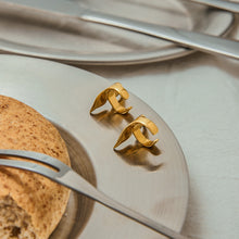 Load image into Gallery viewer, Fishtail stainless steel ear clips